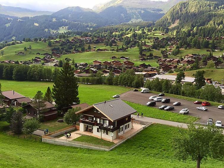 Wetterhorn, Eiger, Jungfrau, Amazing! Διαμέρισμα Γκρίντελβαλντ Εξωτερικό φωτογραφία