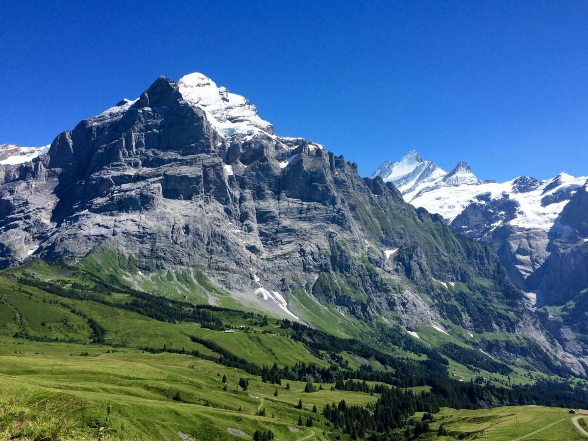 Wetterhorn, Eiger, Jungfrau, Amazing! Διαμέρισμα Γκρίντελβαλντ Εξωτερικό φωτογραφία