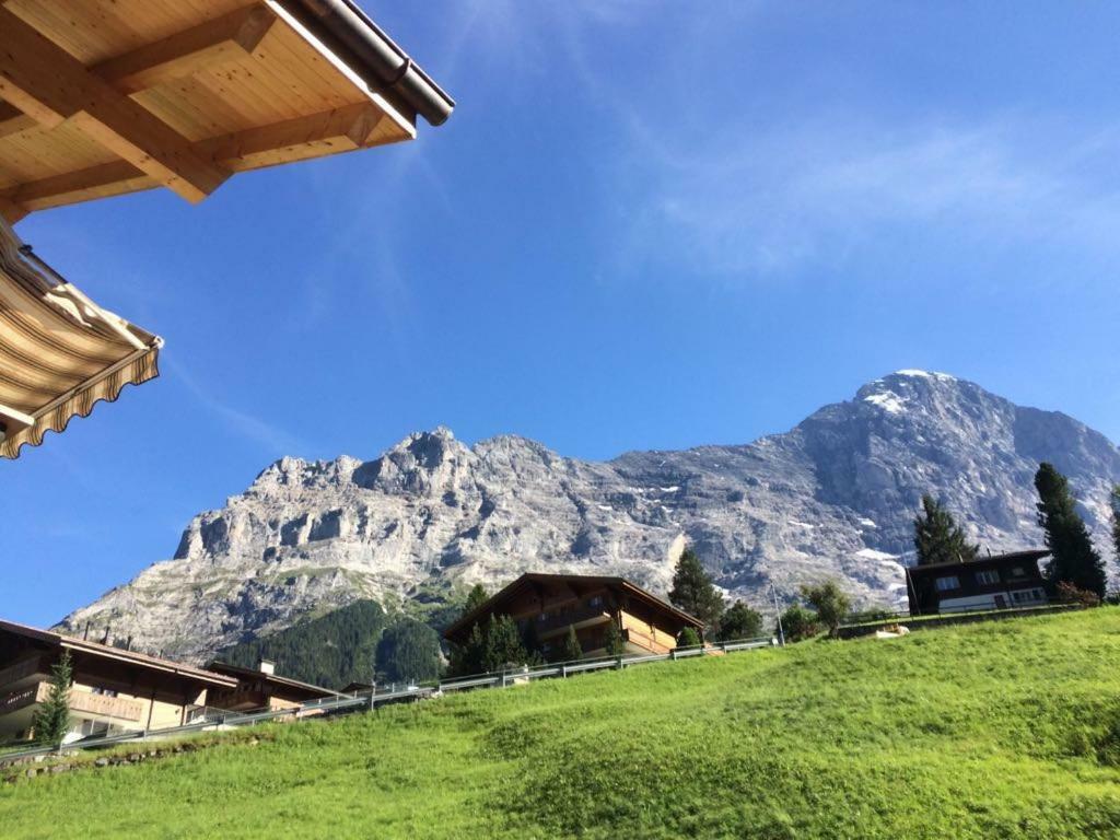 Wetterhorn, Eiger, Jungfrau, Amazing! Διαμέρισμα Γκρίντελβαλντ Εξωτερικό φωτογραφία